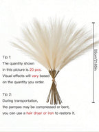Santiago Minimalist Wireframe Propagation Vase