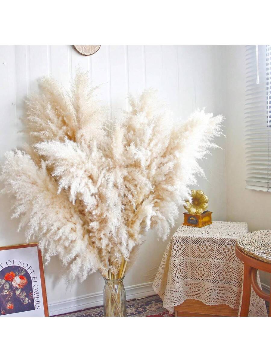 Sao Paulo Luxe Large Pampas Grass Plumes