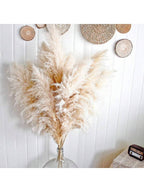 Sao Paulo Luxe Large Pampas Grass Plumes