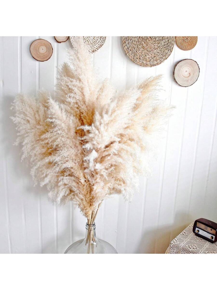 Sao Paulo Luxe Large Pampas Grass Plumes