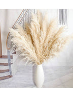 Sao Paulo Luxe Large Pampas Grass Plumes