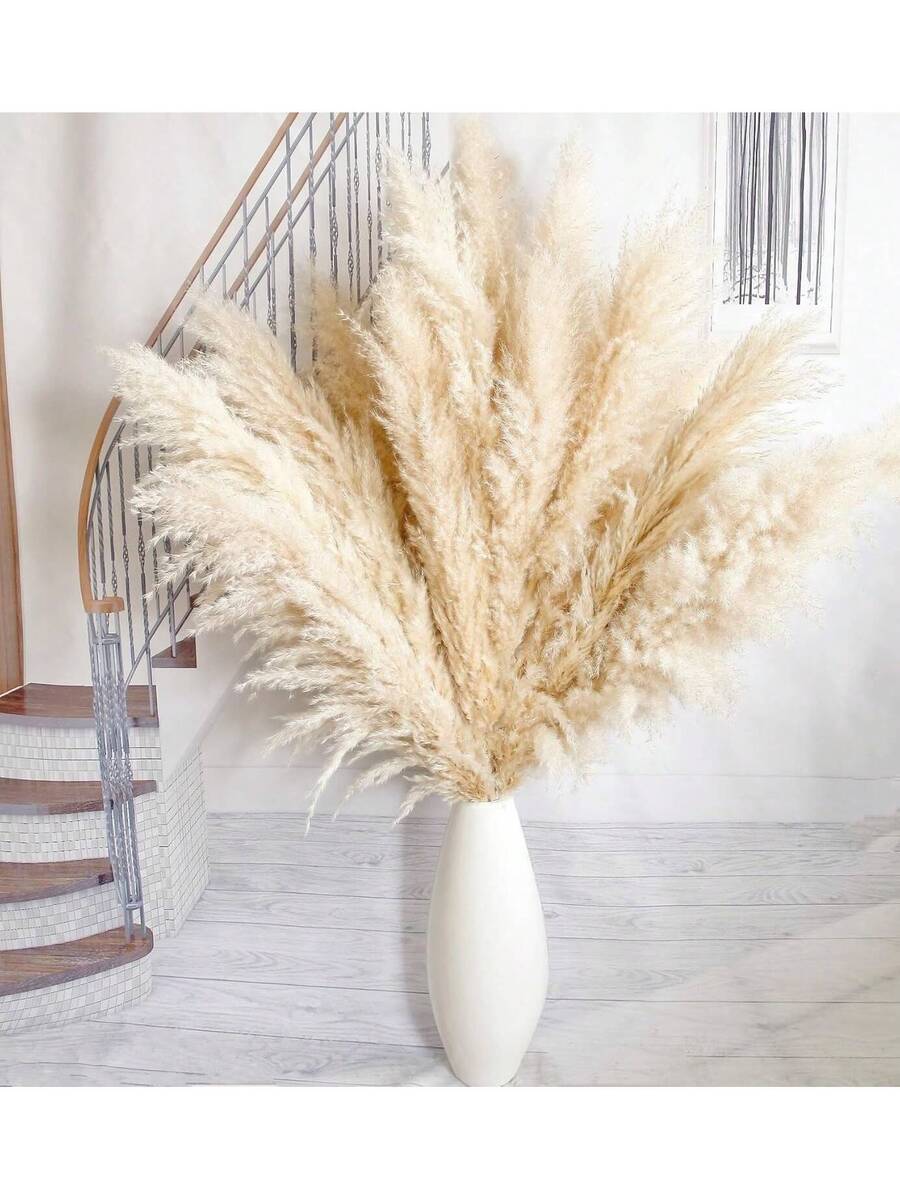 Sao Paulo Luxe Large Pampas Grass Plumes