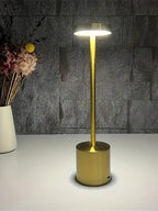 Kolkata Modern Iron LED Light