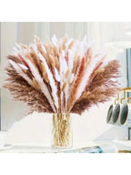Bogota Premium Dried Pampas and Grass Bouquet