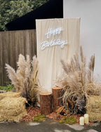 Havana Premium Tall Dried Pampas Grass