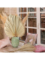 Reykjavik Boho Dried Pampas Grass Decor Bulk