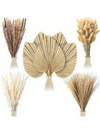 Reykjavik Boho Dried Pampas Grass Decor Bulk