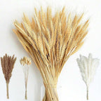 Rio de Janeiro Natural Dried Wheat Bouquet