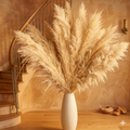 Sao Paulo Luxe Large Pampas Grass Plumes