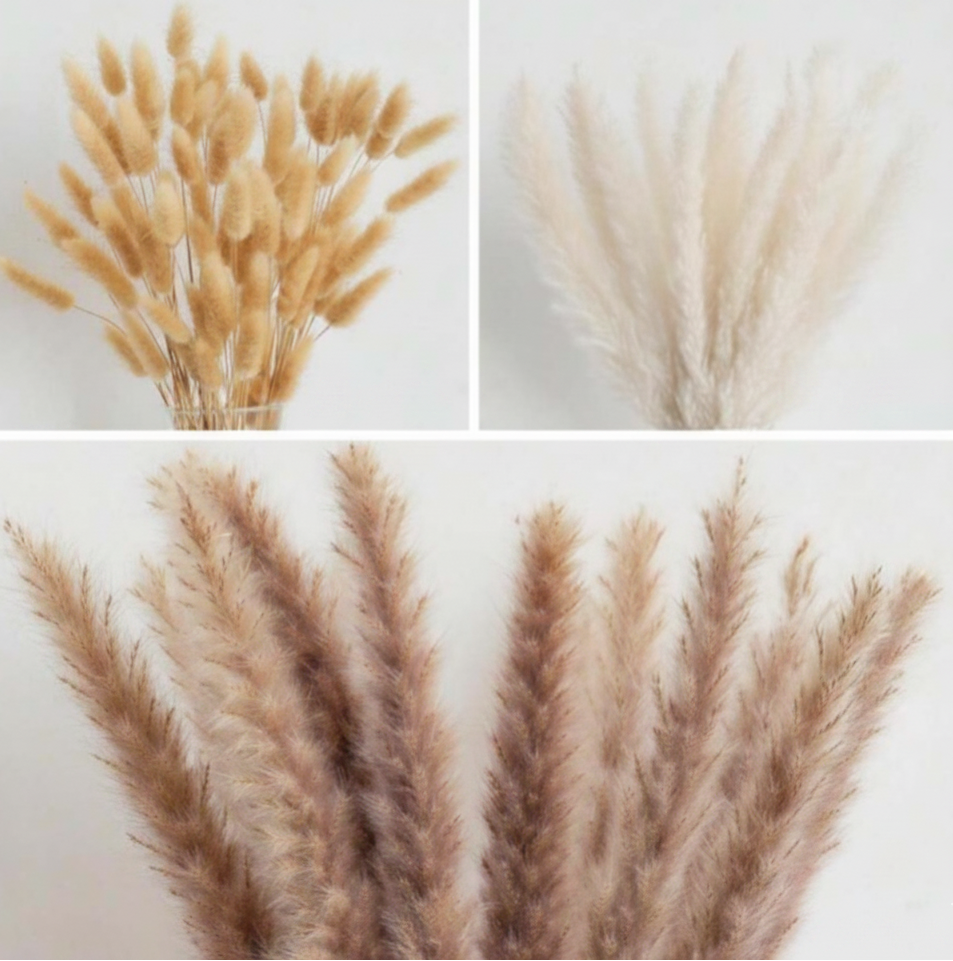 Rio de Janeiro Natural Dried Wheat Bouquet
