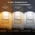 Athens Modern Self-Contained LED Light Fixture