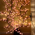 Paris Decorative Blossom LED Wall Light Branch
